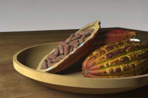 Receta del Cacao Fresco