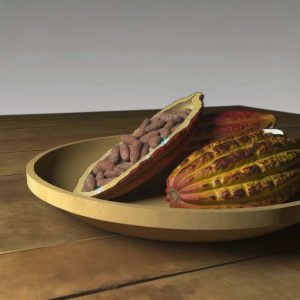 Cacao Fresco