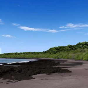 Refugio Nacional de Vida Silvestre Ostional